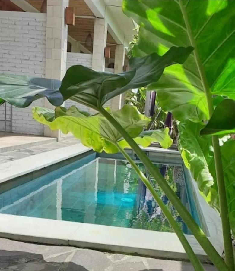Surya Lombok Accommodation Selong Belanak Exterior foto