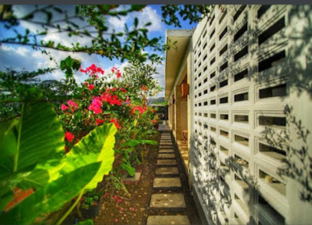 Surya Lombok Accommodation Selong Belanak Exterior foto